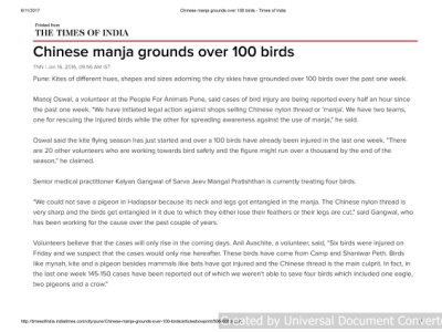 Chinese-manja-grounds-over-100-birds-Times-of-India