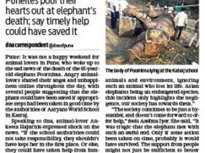 Tusker Poornima perishes, animals fume online