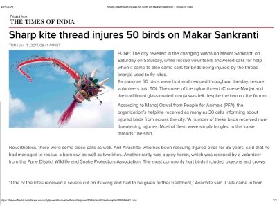 Sharp kite thread injures 50 birds on Makar Sankranti - Times of India