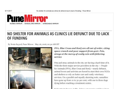 No shelter for animals as clinics lie defunct due to lack of funding - Pune Mirror