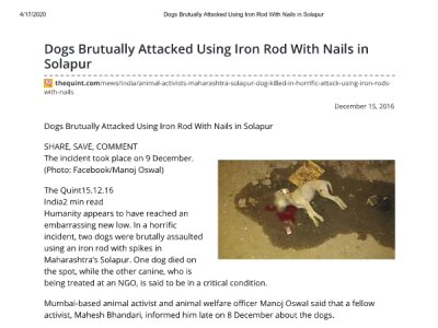 Dogs brutally attacked with iron rod with nails in Solapur