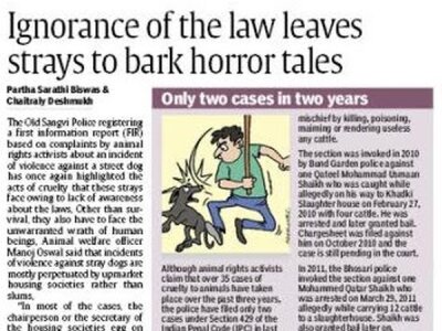 Ignorance of the law leaves bark horror tales