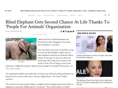 Blind-Elephant-Gets-Second-Chance-At-Life-Thanks-To-People-For-Animals