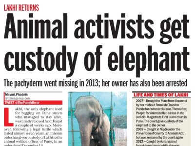 Pune Mirror-Animal-Activists-get-custody-of-elephant