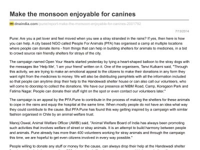 Make the monsoon enjoyable for canines