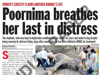 Poornima breathes her last in distress