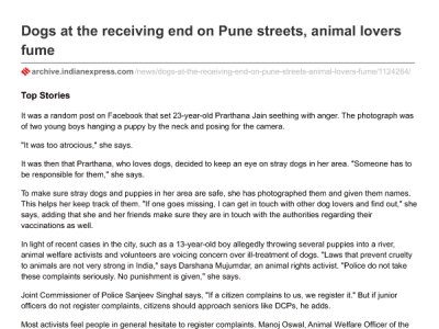 Dogs at the receiving end on Pune Streets