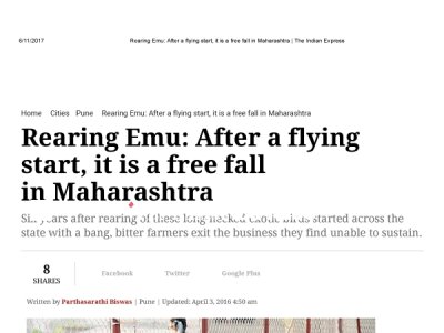 Rearing Emu : After a flying start, it is a free fall in Maharashtra