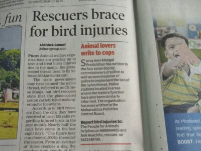 Rescuers brace for bird injuries