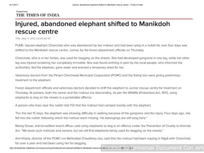 Injured, abandoned elephant shifted to Manikdoh rescue centre - Times of India