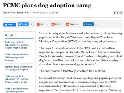 PCMC Plans dog adoption camp